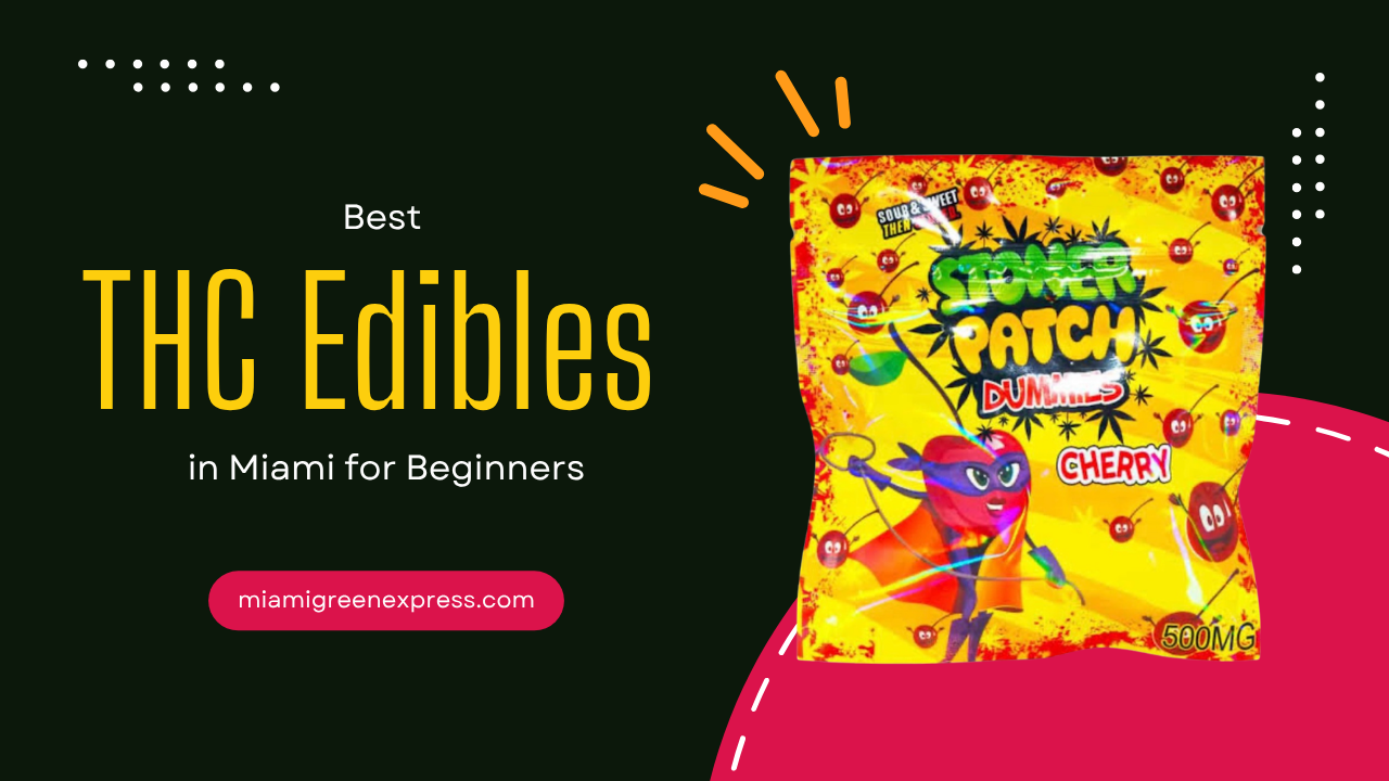 Best THC Edibles in Miami for Beginners: Safe, Tasty and Effective Options