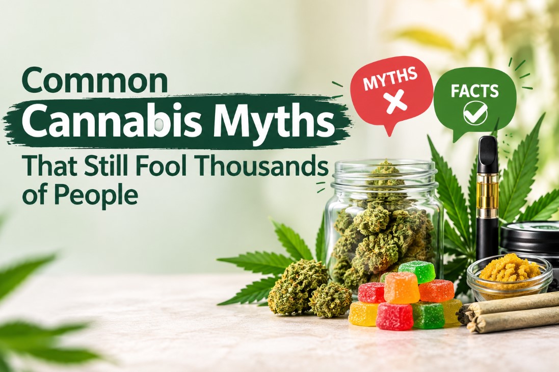 Common Cannabis Myths That Still Fool Thousands of People