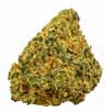Cannabis flower products available for delivery in Palm Beach